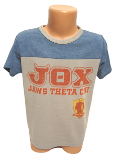 Tričko DISNEY  - 122-128